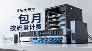 山东大带宽服务器租用收费标准里包月与按流量计费差异