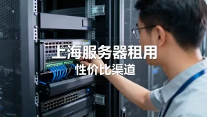 上海服务器租用选择哪个渠道会比较划算一些，上海服务器租用哪个平台便宜