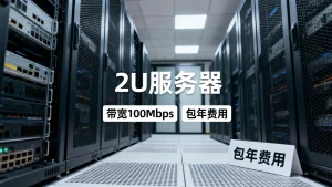 上海物理服务器包年租用收费标准怎么计算，价格受哪些因素影响？