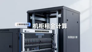 上海独享服务器报价是多少？机柜租金如何计算