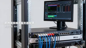 杭州视频推流服务器去哪里租比较好，哪家稳定性价比高？