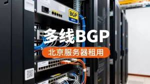 为什么北京服务器租用要看是否多线BGP？多线BGP如何选