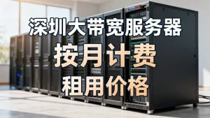 深圳大带宽服务器按月计费要多少花销？深圳大带宽服务器租用价格贵吗？