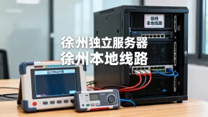 徐州独立服务器租什么线路性价比高，延迟怎么测
