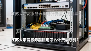 江苏大带宽服务器租用计费模式有哪些？，江苏大带宽服务器租用怎么计费最划算？