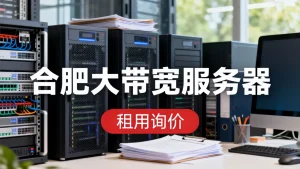 合肥大带宽服务器租用怎么询价,多少钱?