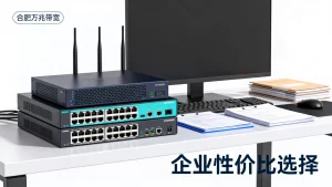 合肥万兆带宽租用报价差异在哪，企业如何选择性价比高的万兆带宽服务？