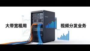 合肥视频分发业务如何选择大带宽租用，大带宽租用价格多少