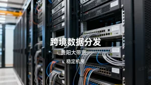 跨境数据分发业务贵阳大带宽租用怎么选，哪些机房稳定不丢包？