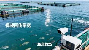 青岛海洋牧场视频回传带宽方案怎么定