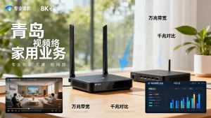 青岛视频点播业务上万兆带宽有必要吗，家用千兆和万兆区别大吗？