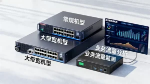 武汉服务器租用选常规机型还是大带宽机型，业务流量怎么看？