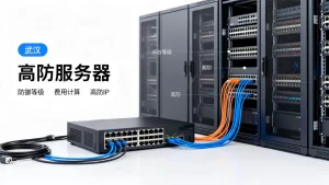 武汉高防服务器升级防御等级的费用是怎么算出来的，高防IP加防御多少钱