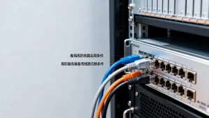 备用高防线路在什么条件下启用？高防服务器备用线路切换条件
