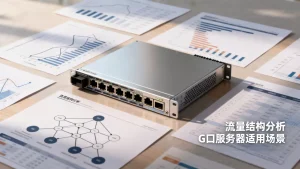 选G口之前先弄清楚自己的流量结构吗，G口服务器适合什么流量结构？