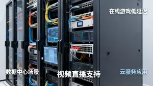 G口大带宽服务器在哪些业务里更常见，适用场景有哪些？