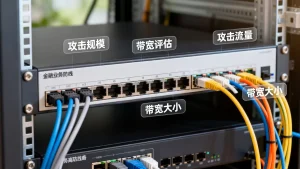 金融业务选高防线路按攻击规模还是按带宽评估？高防线路选择按攻击流量还是带宽大小