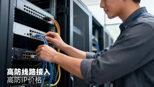 中小企业官网做高防线路接入要花多少钱？高防IP价格贵不贵