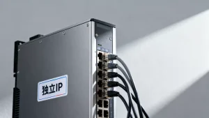 服务器迁移时独立IP能否一并带走？服务器迁移独立IP会变吗