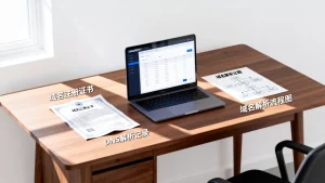 高防服务器接入前需哪些域名解析材料，高防服务器域名解析要什么