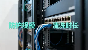 选型时只看防护规模就行吗，DDoS清洗时长多久合适