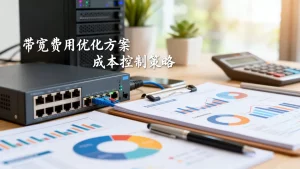 大带宽费用超出预算该怎么控制？大带宽费用超预算如何降低成本