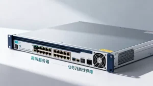 高防服务器在业务连续账上值不值？，高防服务器保障业务连续吗？