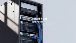 为什么软件站历史版本留存的带宽占用会变高？，怎么降低带宽负担