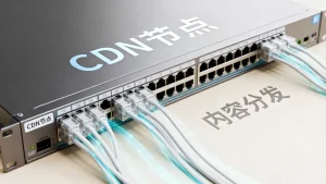 CDN如何提升网站可访问性？内容分发网络加速访问效果好吗
