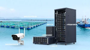 烟台海洋牧场视频监控回传带宽怎么估算？租大带宽服务器要多少M？
