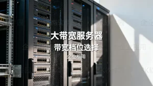 济南软件园企业租大带宽服务器怎么选带宽档位？服务器带宽怎么选