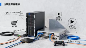 山东服务器租用带宽多少合适？不同业务分别适合配多大带宽