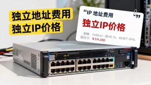 站群服务器独立地址费用怎么算，站群服务器独立IP多少钱一个月