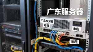 广东服务器月租和年租怎么选，广东企业服务器月付年付哪个划算？
