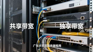 广东大带宽服务器租用怎么选？独享和共享的区别是什么？