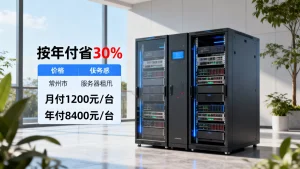 常州服务器按年付能比按月付省多少？租用价格差异，哪家更划算