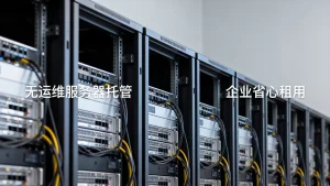 没有运维人员的团队租用更省心？企业无运维服务器托管，长尾疑问词