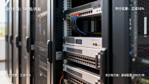 江苏租服务器一年多少钱？按月付款行不行，有哪些低价格方案