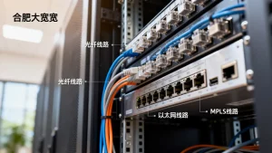 合肥大带宽服务器租用线路类型有哪些，合肥大带宽服务器线路怎么选？