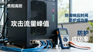 贵阳高防服务器实际防护效果怎么评估，高防服务器防御能力测试标准有哪些