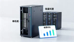 贵阳服务器租用单机柜与批量托管区别在哪，服务器托管怎样收费更划算