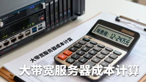 教育平台大带宽服务器成本怎么算，大带宽服务器一年多少钱？