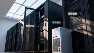青岛IDC机柜托管和整机租用怎么选？托管和租用哪个更划算？