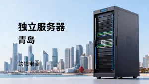 日韩跨境电商在青岛租独立服务器怎么选？，青岛独立服务器租用价格