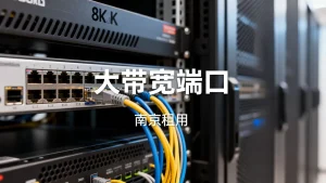 南京租大带宽时端口是不是越大越好？，大带宽端口越大越好吗？