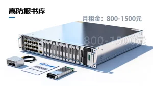 电商大促活动租高防服务器大概是什么价位，高防服务器租用价格多少钱一个月