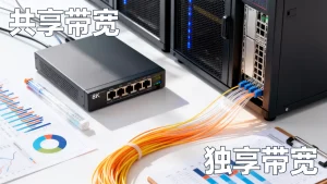 电商网站共享带宽和独享带宽怎么选，共享带宽与独享带宽哪个好？