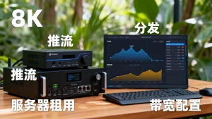 南京直播平台做推流与分发时租用服务器怎么选，直播服务器带宽配置推荐？