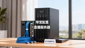 武汉直播带货大带宽服务器配置思路？直播服务器带宽怎么选