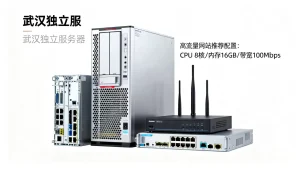 武汉独立服务器选型时怎么按业务类型来确定配置规模，高流量网站如何选配置